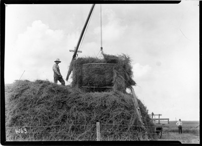 Sling Stacker