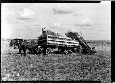 Hay Loader