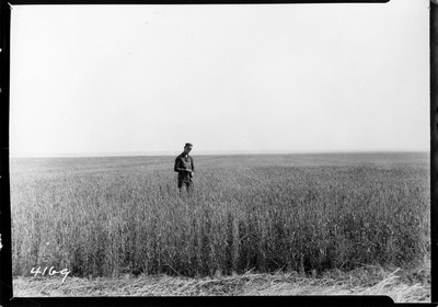 Lone Warrior Farm - Wheat