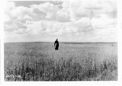 Lone Warrior Farm - Combining