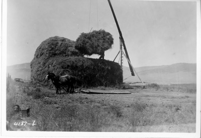 Sling Stacker