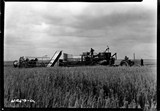 Lone Warrior Farm - Combine Experiments