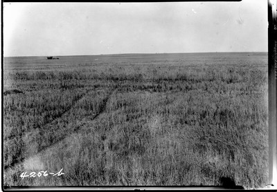 Taiyan Farm - Combines