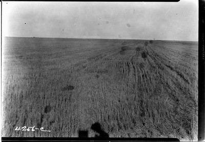 Taiyan Farm - Combines