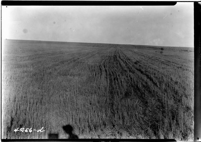 Taiyan Farm - Combines