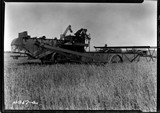 Taiyan Farm - Combine Experiments