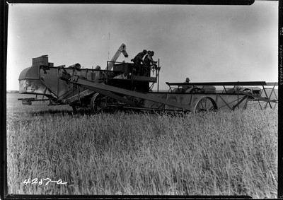 Taiyan Farm - Combine Experiments