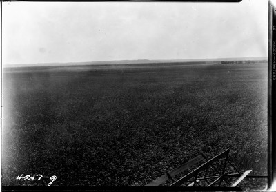Taiyan Farm - Combines