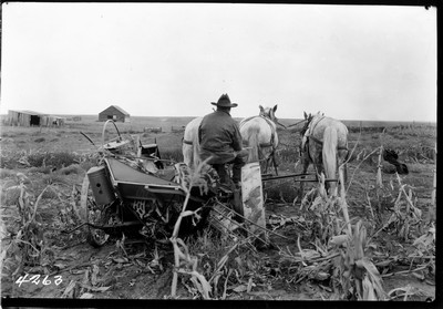 Rosebud Farm - Corn Binder