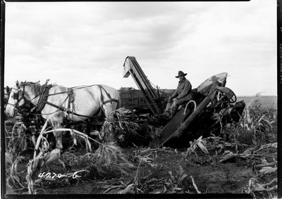 Rosebud Farm - Corn Picker