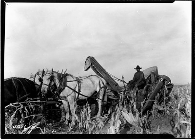 Rosebud Farm - Corn Picker