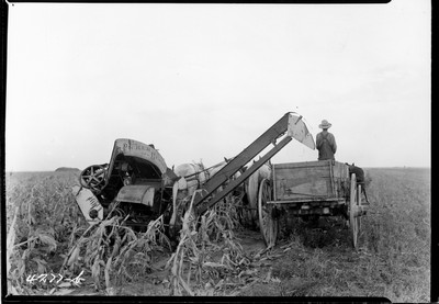 Rosebud Farm - Corn Picker