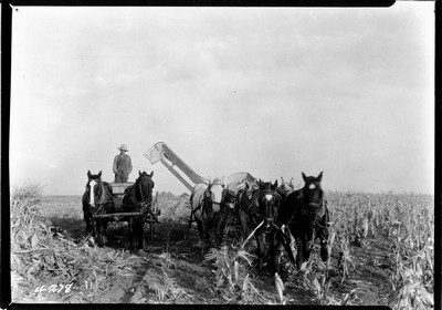 Rosebud Farm - Corn Picker