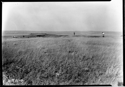 Milk River Project - Irrigation