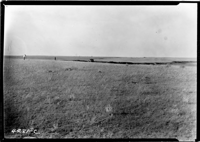 Milk River Project - Irrigation