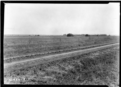 Milk River Project - Alfalfa