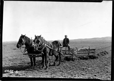 Wiota Farm - Side Delivery Rake