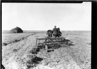 Wiota Farm - Side Delivery Rake