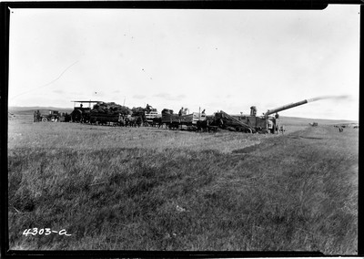 Richland Farm - Threshing