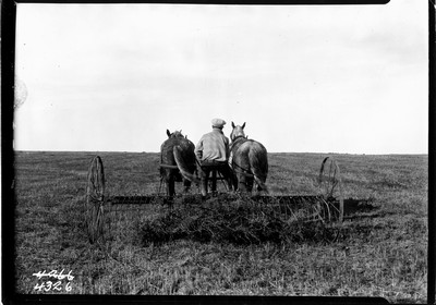 Lone Warrior Farm - Hay
