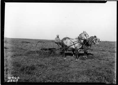 Lone Warrior Farm - Hay