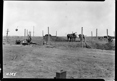 Lone Warrior Farm - Farmstead