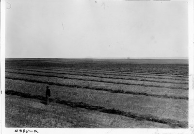 Campbell Farm - Binder