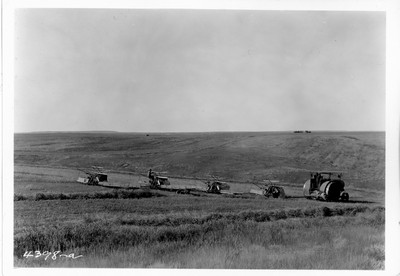 Campbell Farm - Windrowing