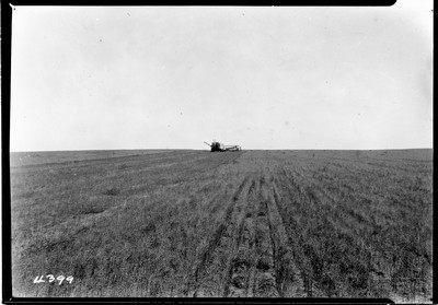 Lone Warrior Farm - Flax