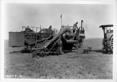 Combining Wheat