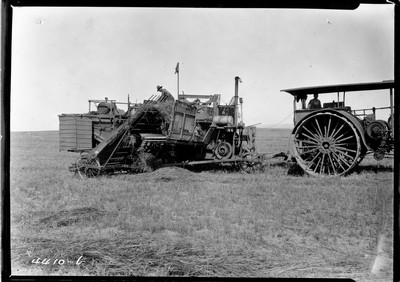 Campbell Farm - Wheat