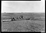 Campbell Farm - Windrowing