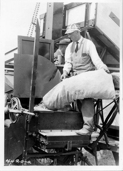 Wheat - Sampling