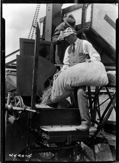 Wheat - Sampling