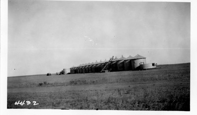 Campbell Farm - Grain