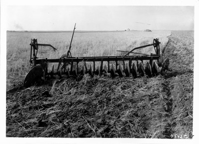Cloverleaf Farm - Plow