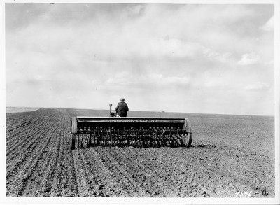 Lone Warrior Farm - Drilling