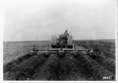 Lone Warrior Farm - Corn