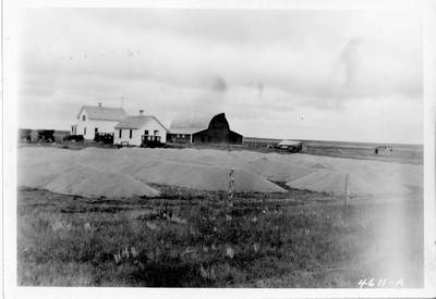 Wheat Piles