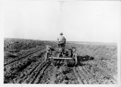 Farmall Bean Puller