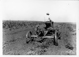 Farmall Bean Puller