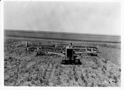 Lone Warrior Farm - Duckfoot Cultivator