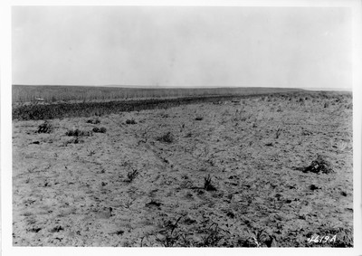 Lone Warrior Farm - Stubble Burning