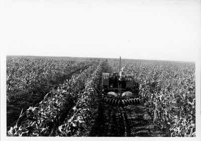 Lone Warrior Farm - Fallow