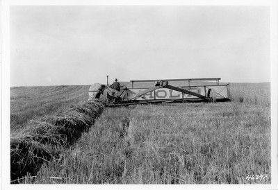 Lone Warrior Farm - Windrowing