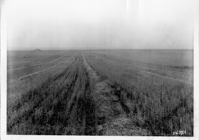 Lone Warrior Farm - Combining