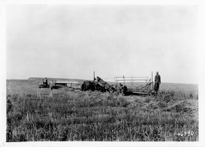 Lone Warrior Farm - Windrowing