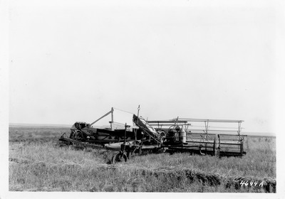 Lone Warrior Farm - Windrowing
