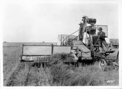 Lone Warrior Farm - Flax