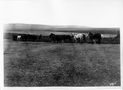 Big Teams - Plowing